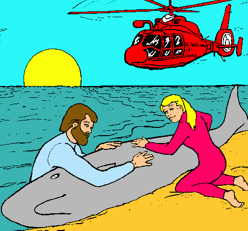 Dibujo Rescate ballena pintado por Candida