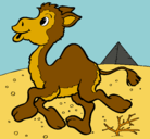 Dibujo Camello pintado por camelli