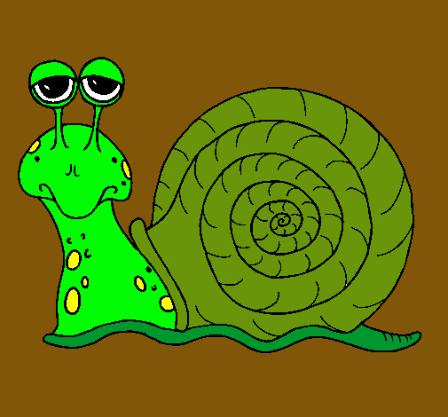 Caracol