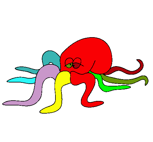 Pulpo