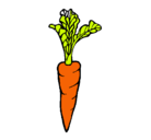 Dibujo zanahoria pintado por omariyo