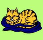 Dibujo Gato en su cama pintado por CATICAT