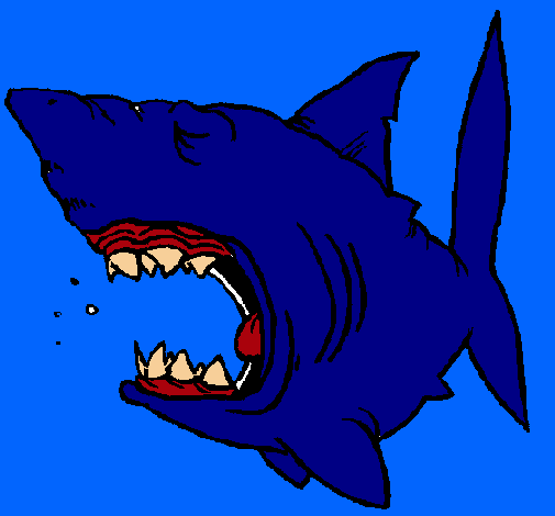Dibujo Tiburón pintado por anyta