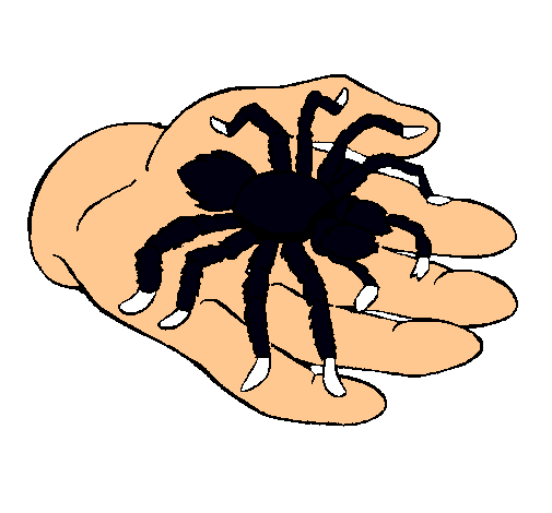 Tarántula