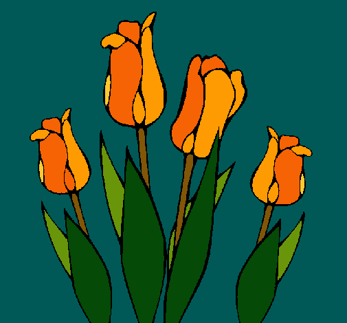 Tulipanes