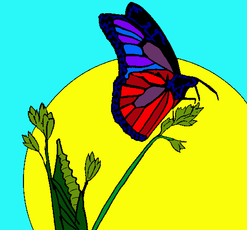 Dibujo Mariposa en una rama pintado por vivialinda