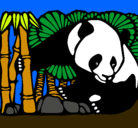 Dibujo Oso panda y bambú pintado por xhikaa
