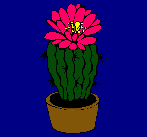 Cactus con flor