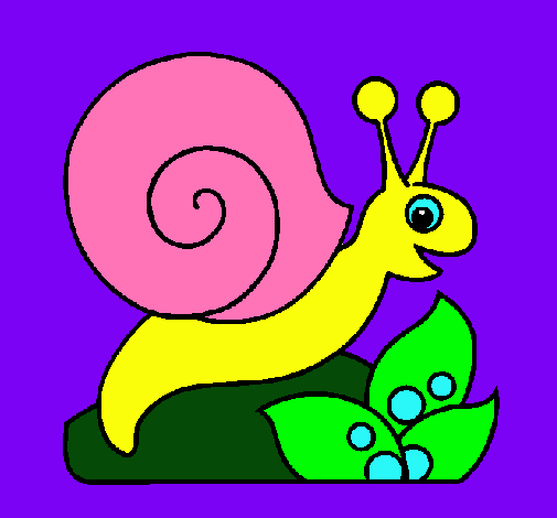 Caracol