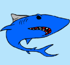 Dibujo Tiburón pintado por giandomenico
