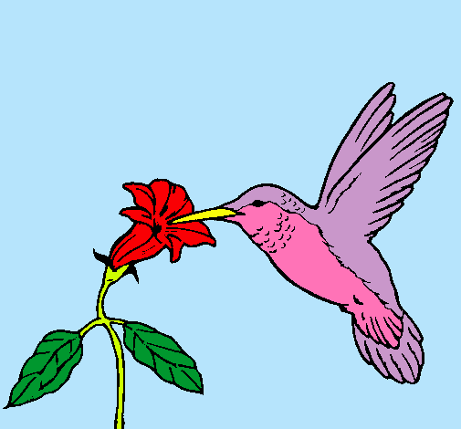 Colibrí y una flor