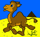 Dibujo Camello pintado por ernestina
