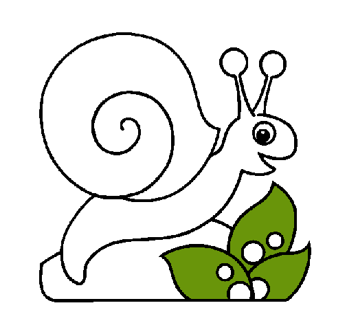 Caracol