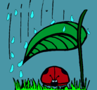 Dibujo Mariquita protegida de la lluvia pintado por elisabeth