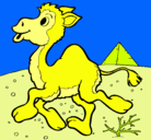 Dibujo Camello pintado por Camelle