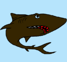 Dibujo Tiburón pintado por efren