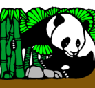 Dibujo Oso panda y bambú pintado por wilye