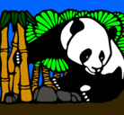 Dibujo Oso panda y bambú pintado por jovi