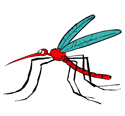 Mosquito