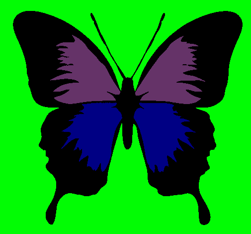 Dibujo Mariposa con alas negras pintado por vivialinda
