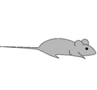 Dibujo Rata pintado por rati