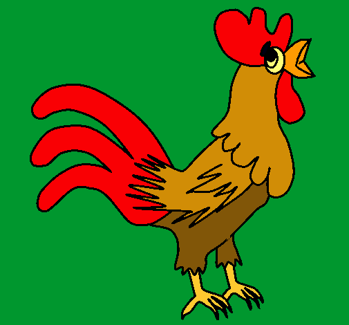 Gallo