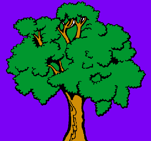 Árbol