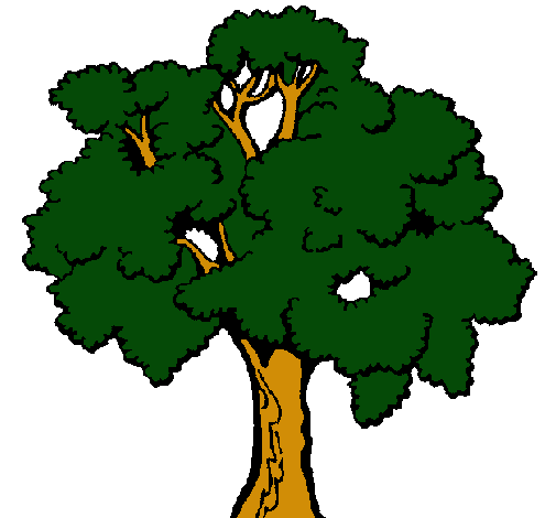 Árbol