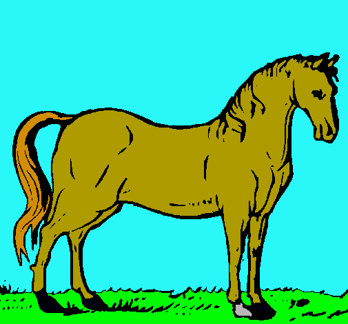 Caballo andaluz