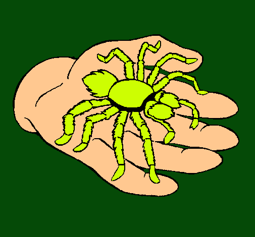 Tarántula