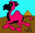 Dibujo Camello pintado por c4rlo0sszzzzzzz