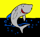 Dibujo Tiburón pintado por giandomenico
