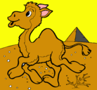 Dibujo Camello pintado por roserlia