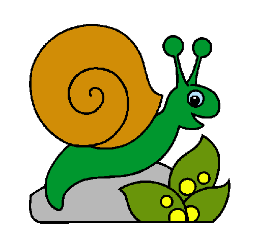 Caracol