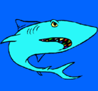 Dibujo Tiburón pintado por GABRIELI