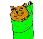 Dibujo Gato dentro de una calcetín pintado por fideo