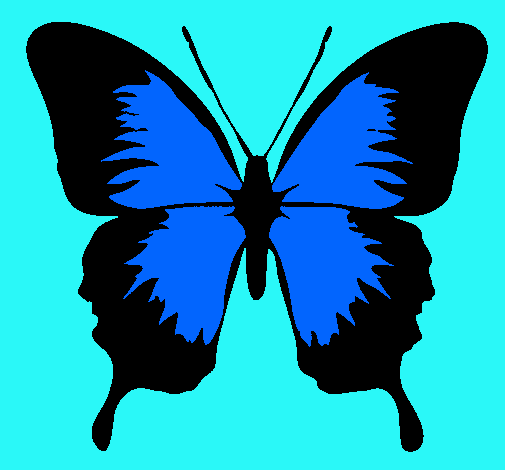 Dibujo Mariposa con alas negras pintado por marietta