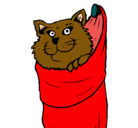 Dibujo Gato dentro de una calcetín pintado por valennn