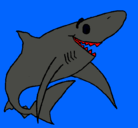 Dibujo Tiburón alegre pintado por brandon