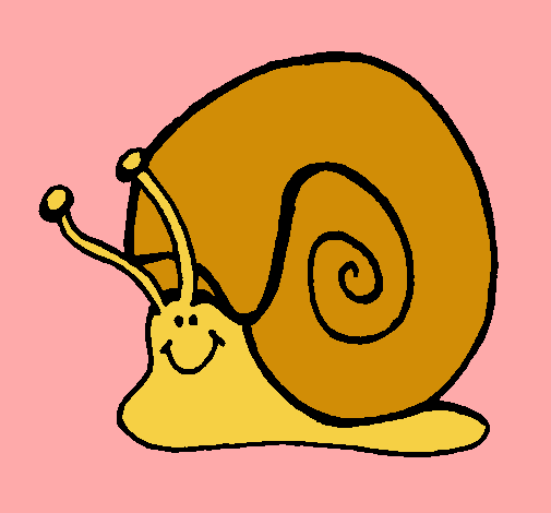 Caracol 