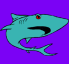 Dibujo Tiburón pintado por hola