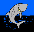 Dibujo Tiburón pintado por siiliii