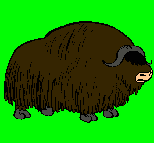 Bisonte