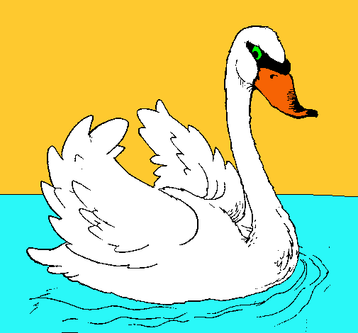 Cisne en el agua