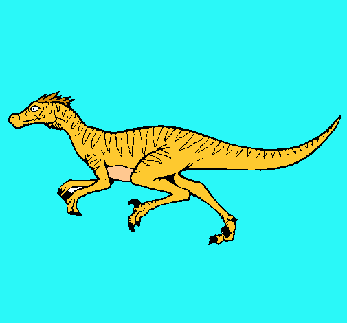 Dibujo Velociraptor pintado por kerim