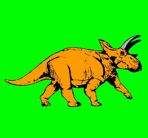 Triceratops