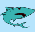 Dibujo Tiburón pintado por Rene