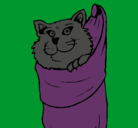 Dibujo Gato dentro de una calcetín pintado por Cats
