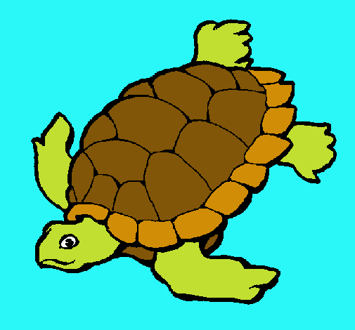 Tortuga