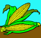 Dibujo Mazorca de maíz pintado por jovi